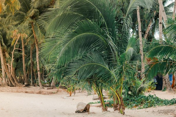 Les astuces pour camper en toute sécurité au bord d'une rivière